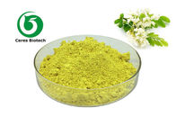Herbal Extract Powder Sophora Japonica Extract Quercetin 98% for Health Care