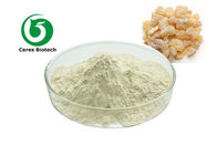 Herbal Extract Boswellia Serrata Extract Powder Boswellia Acid 65% 85% 90%