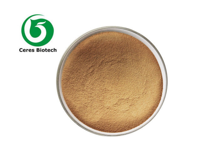 Pure Natural Proanthocyanidins French Pine Bark Extract Powder 50%-95%