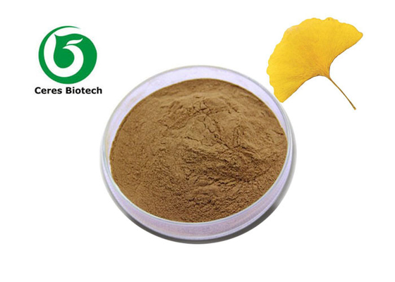 Flavone Active Ingredient Top 100% Natural Ginkgo Biloba Leaf Extract Powder