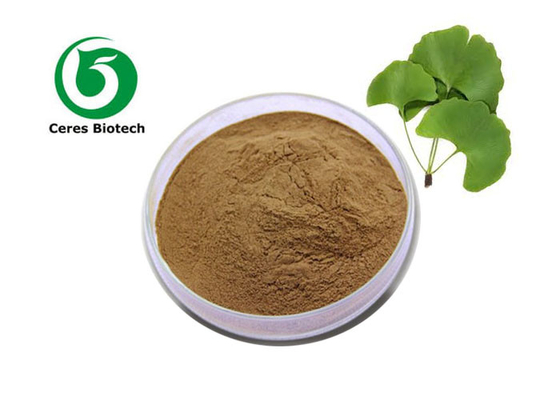 Superior Ginkgo Biloba Leaf Extract Powder With 5ppm Ginkgolic Acid Ethanol Extraction 's Best