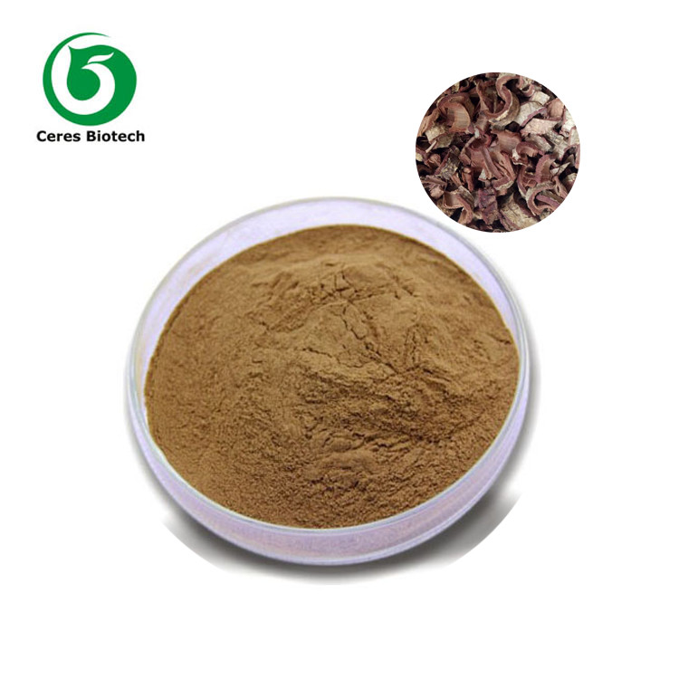 100% Natural Ginkgo Biloba Leaf Extract Powder for Improved Blood Flow and Cognitive Function