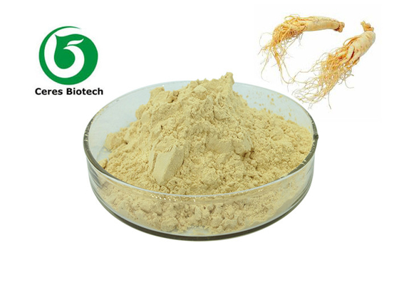 Pure Food Grade Ginsing Root Panax Żeń-szeń w proszku Wyciąg z żeń-szenia w proszku