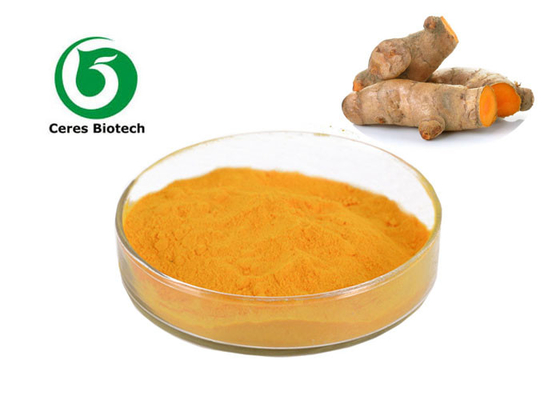 Masowy ekstrakt z kurkumy Kurkumina w proszku Organiczny proszek z kurkumy na palcach