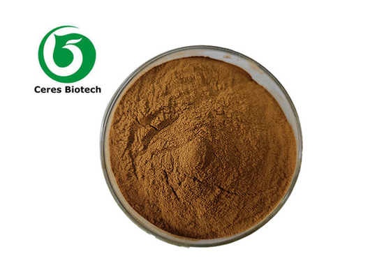 Ujawnij korzyści zdrowotne ekstraktu z klonu cukrowego z Botanic Source Astragalus Membranaceus